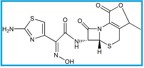 CEFDINIR LACTONE (USP)